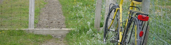 Cycling banner images